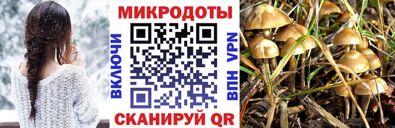 Купить закладки  Серафимович  Псилоцибиновые грибы мухоморы 