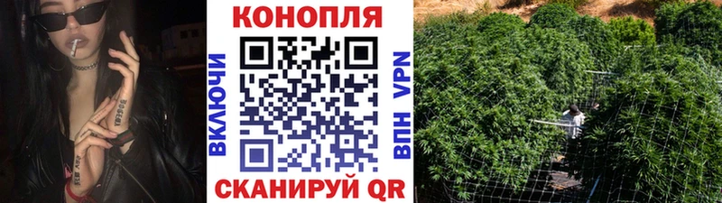 Каннабис SATIVA & INDICA Серафимович